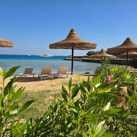 Dive Hostel Hurghada Beach